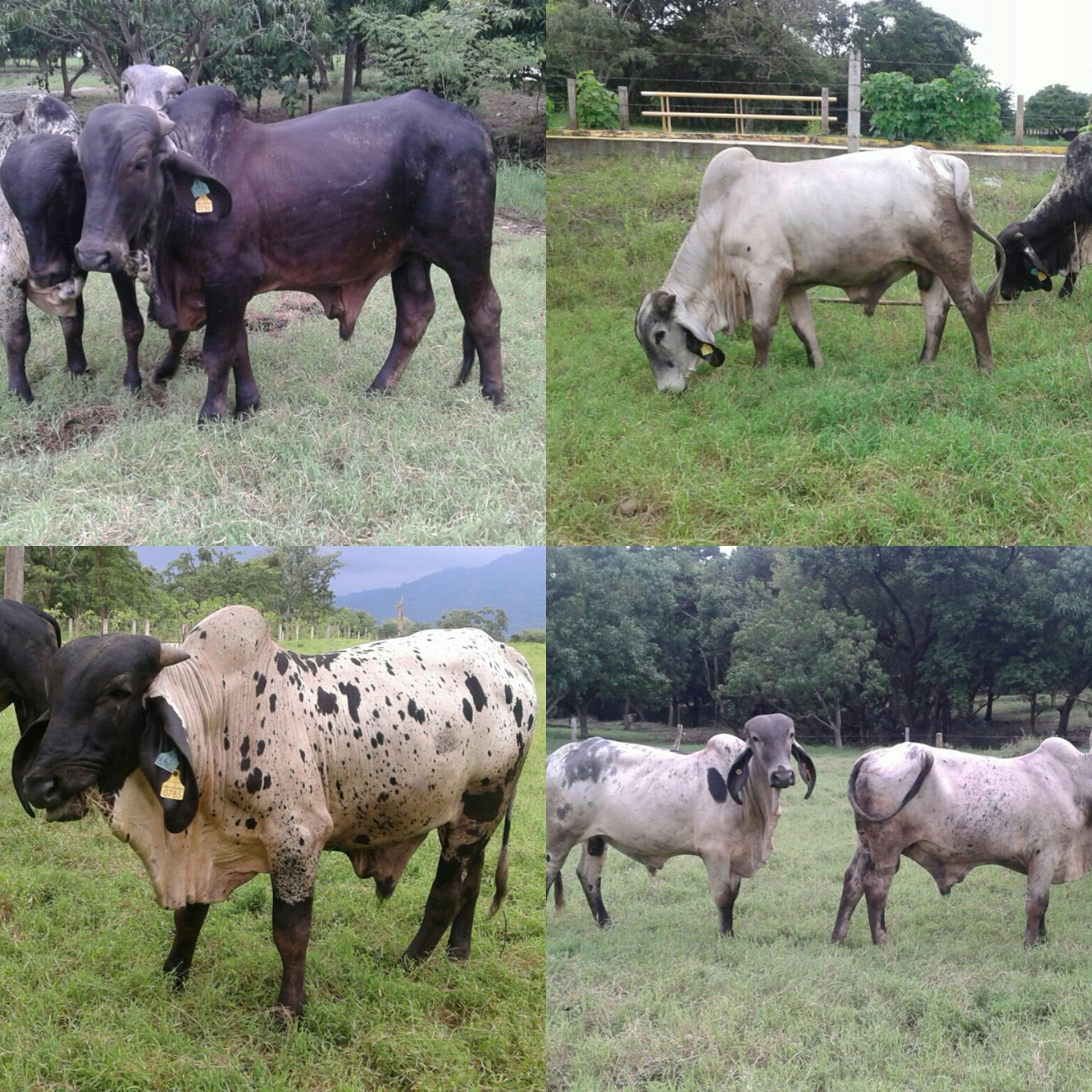 picdr3ro8c6latgfd0986c21b801c3e55318476eea20aa94f5497