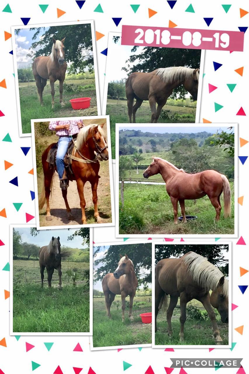pictwflhxjf0iivh1bb88d4c2249d0740ff4ebd71cb2a527462869